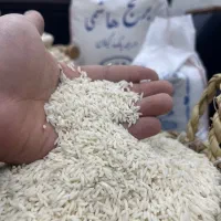 لاشه هاشمی خالص