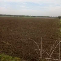 فروش-زمین-کشاورزی-متراژ-5000