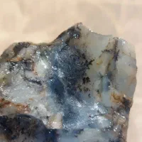 شجر|جواهرات|بیرجند, |دیوار
