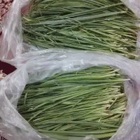 سبزیحات