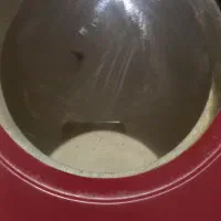 گل فر در خشک