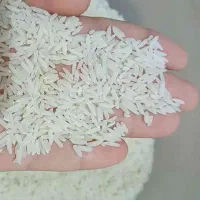 برنج طارم هاشمی ممتاز بوجاری صفر|خوردنی و آشامیدنی|ساری, |دیوار