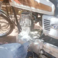 کفتر ماده به شرط پریدن