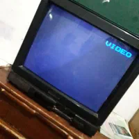 تلویزیون ۲۱ اینچ|تلویزیون و پروژکتور|کرمان, |دیوار