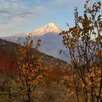 باغ گیلاس و زمین منطقه ییلاقی