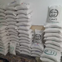 برنج دمسیاه ، هاشمی ، خوشپخت ، گرگان ، فجر ۱۸۰۰