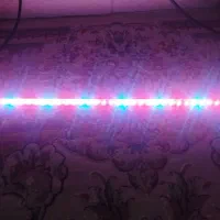 لامپ اکواریوم|لوازم جانبی حیوانات|صباشهر, |دیوار