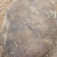 سنگ قیمتی|کلکسیون اشیاء عتیقه|تهران, کوی نصر مهرآباد|دیوار