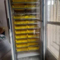 دستگاه جوجه کشی  ۱۸۵۰ تایی