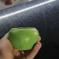 فروش گلدون با رنگبندی