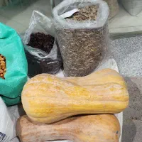 حراج فوری کدو تنبل