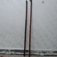 چوب گرز ارژن