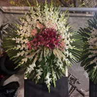 تاج گل|خدمات پذیرایی، مراسم|ارومیه, |دیوار