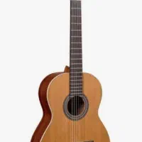 گیتار کوئینکا نیچر ۵.کویینکا guitarCuenca nature 5