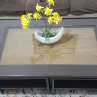 میز جلو مبلی