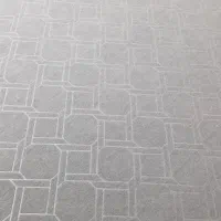 موکت پالاز در حد نو