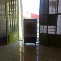 کولرابی سلولوزی