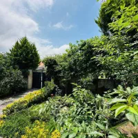 ویلاباغ ۳۵۰متری/۱۶۰متربنا ۳خوابه/درخت میوه|فروش خانه و ویلا|رامسر, |دیوار