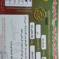 تیبا 2 پلاس|خودرو سواری و وانت|تهران, نازی‌آباد|دیوار