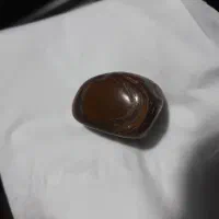 سنگ راف چشم ببری