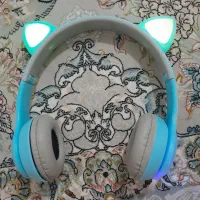 هدفون گربه ای