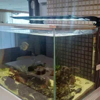 آکواریوم با تمام لوازم
