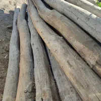 خرید و فروش چوب خشک|مصالح و تجهیزات ساختمان|مریوان, |دیوار