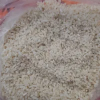 برنج نیم دانه هاشمی|خوردنی و آشامیدنی|رشت, نیکمرام|دیوار