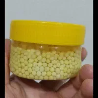 حلزون تخم گزار|خزنده|راین, |دیوار