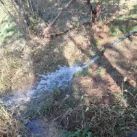 باغ و زمین نزدیک شهر و یک قعطه طرح هادی، معاوضه|فروش دفتر صنعتی، کشاورزی، تجاری|کرمانشاه, |دیوار