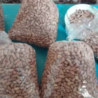 بادوم زمینی اعلا|عمدهفروشی|فردیس, شهرک راه آهن|دیوار