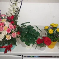 گل مصنوعی|گل مصنوعی|خرمآباد, |دیوار