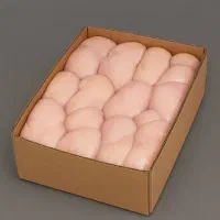 استیک سینه مرغ ،شنیسل، شینسل منجمد شنسل