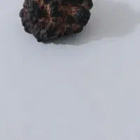 شهاب سنگ اصلی|کلکسیون و سرگرمی|یاسوج, |دیوار