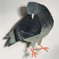 کبوتر