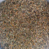 گل بابونه تازه