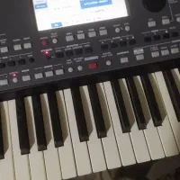 ارگ 600|پیانو، کیبورد، آکاردئون|ماهدشت, |دیوار