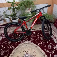دوعدد دوچرخه بونیتو ورامبو
