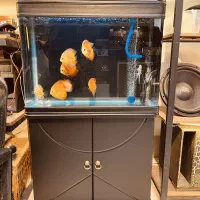 اکواریوم شرکتی و فیلتر سطلی و لوازم دیگر