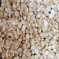 پخش عمده بادام زمینی کره گیری|عمدهفروشی|تهران, شهرک امیرالمومنین|دیوار