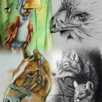 آموزش طراحی و نقاشی