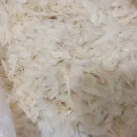 پر مرغ