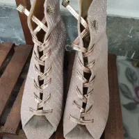 کفش مجلسی