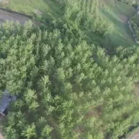 8000-متر-باغ-داخل-طرح-با-درخت-چند-ساله