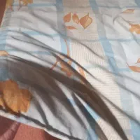 تشک سنتی