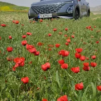 فونیکس اف ایکس پرمیوم ۱۴۰۴