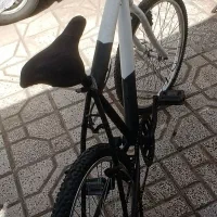 دوچرخه|دوچرخه، اسکیت، اسکوتر|نیشابور, خط کاشمر|دیوار