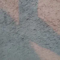 جو بذری تضمین