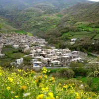 همکار برگزاری تور
