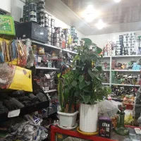 دعوت به همکاری در ذغال فروشی